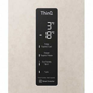 Холодильник LG GC-B509MEWM