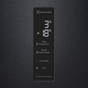 Холодильник LG GC-B509SBUM