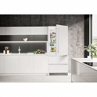 Встраиваемый холодильник LIEBHERR ECBN 5066