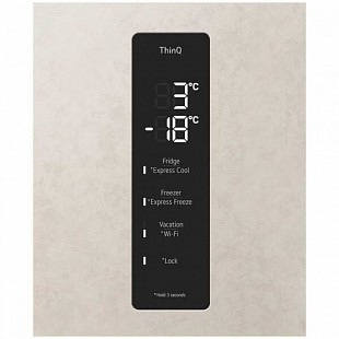 Холодильник LG GC-B509FEMW