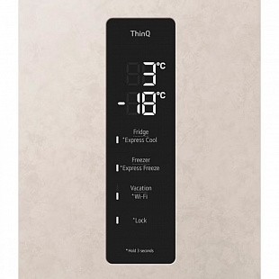 Холодильник LG GC-B459FEPW