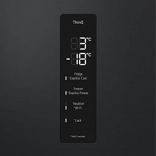 Холодильник LG GC-B509FTZW