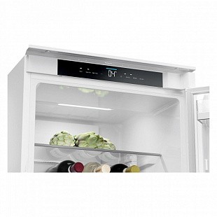 Встраиваемый холодильник HAIER HBCN5190U1