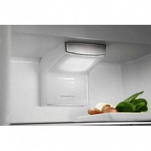 Холодильник ELECTROLUX ENS6TE19S