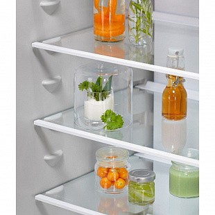 Холодильник ELECTROLUX ENT6MD19S3