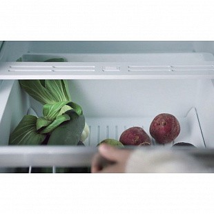 Холодильник ELECTROLUX ENT6MD19S3